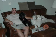 image of great_pyrenees