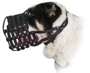 image of muzzle
