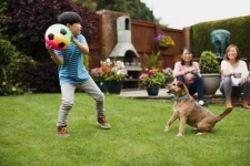image of People play with a dog