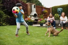 image of people_play_with_dog