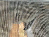image of window_screen