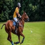 image of sport