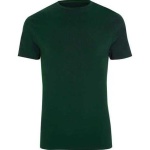 image of green_shirt #17