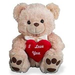 image of teddy_bear