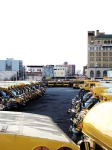image of school_bus
