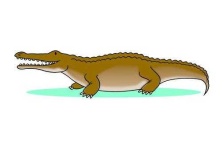 image of crocodile