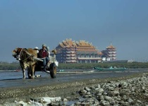 image of oxcart