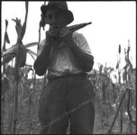 image of panpipe