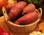 image of fruit_and_vegetable