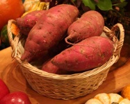 image of sweetpotato #3