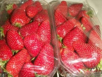 image of strawberry