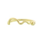 image of squiggle