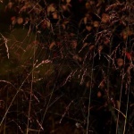 image of texture