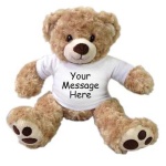 image of teddy_bear