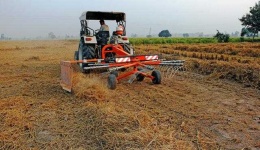 image of rake