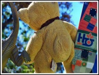image of teddy