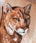 image of cougar_face