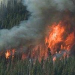 image of wildfire