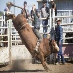 image of bull_riding #29