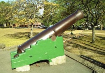 image of cannon