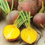image of fruit_and_vegetable
