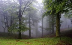 image of foggy