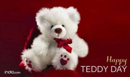 image of teddy_bear