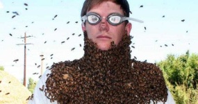 image of beard