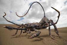 image of scorpion