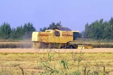 image of harvester
