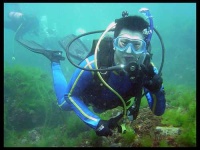 image of scuba_diver