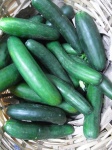 image of cucumber #18