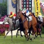 image of sport