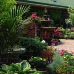 image of garden