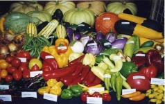 image of vegetables #3