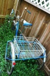image of tricycle