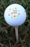 image of golf_ball
