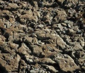 image of texture