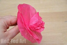 image of lollipop