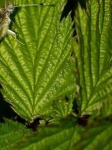 image of texture