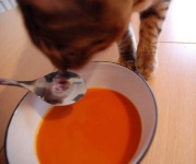 image of soup_bowl