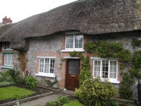 image of thatch