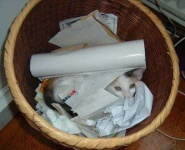 image of ashcan