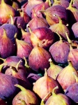 image of fig