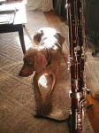 image of bassoon