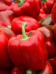 image of fruit_and_vegetable