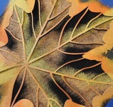 image of texture
