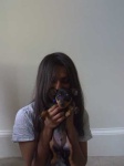 image of miniature_pinscher