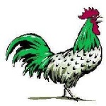image of rooster