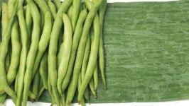 image of string_bean